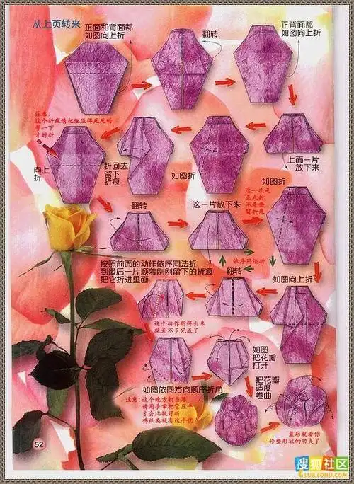 2010-1-3上传图片_世界的相册_poco空间_poco网(poco.cn)