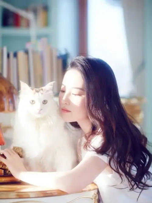 性感美女刘亦菲优雅写真