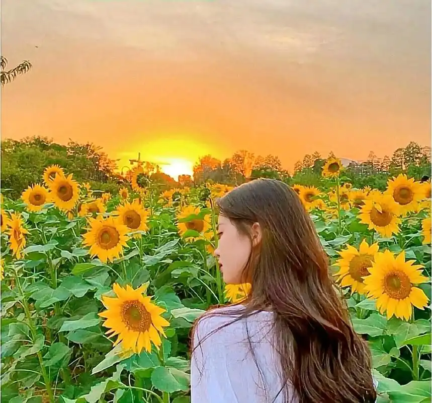 听说橘红色的天空是星星在出嫁#氛围感 #优质头像#女生头像  - 抖音