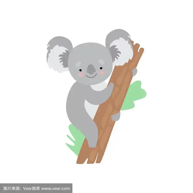 可爱的考拉熊爬树,有趣的灰色动物角色矢量插图