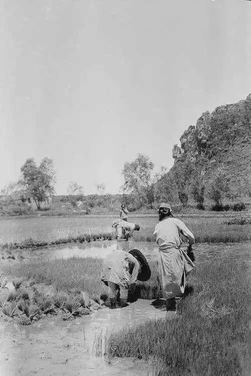 民国时期的中国农村老照片