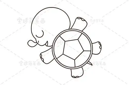 鱼和乌龟绘画简笔画