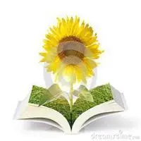 书花的图片大全_微信头像图片大全