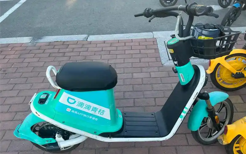 17大庆滴滴青桔电单车pov(乘新一区->大庆一中)(4倍速)(纯手持,不喜勿