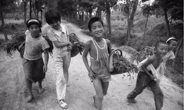 708090年代出生的安福人才能看懂小时候在农村吃过的这些苦