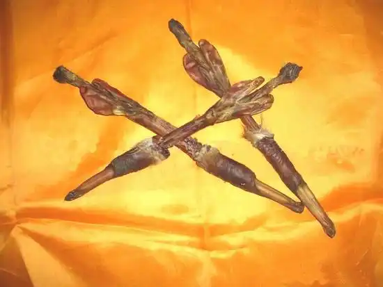 动物鞭大盘点吃了真能补肾壮阳吗