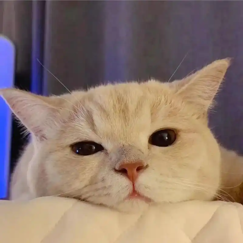 情头 情侣头像|小情话:陪你看日落的人,比日落浪漫