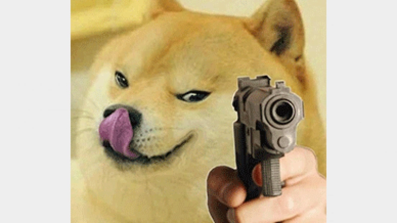 表情 | 各种皮肤的神烦柴犬