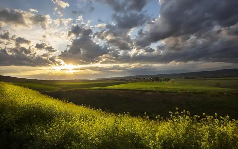 田野花阳光云景观高清壁纸,高清图片,壁纸,自然风景-桌面城市