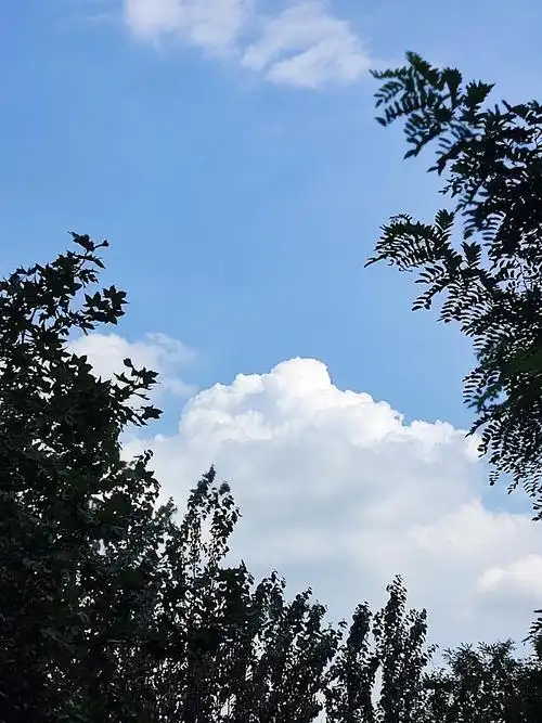 回家路上一回头看见的美丽云朵