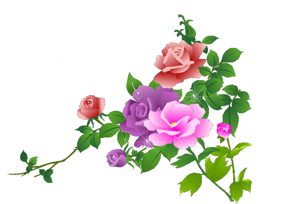 560_405gif 动态图 动图