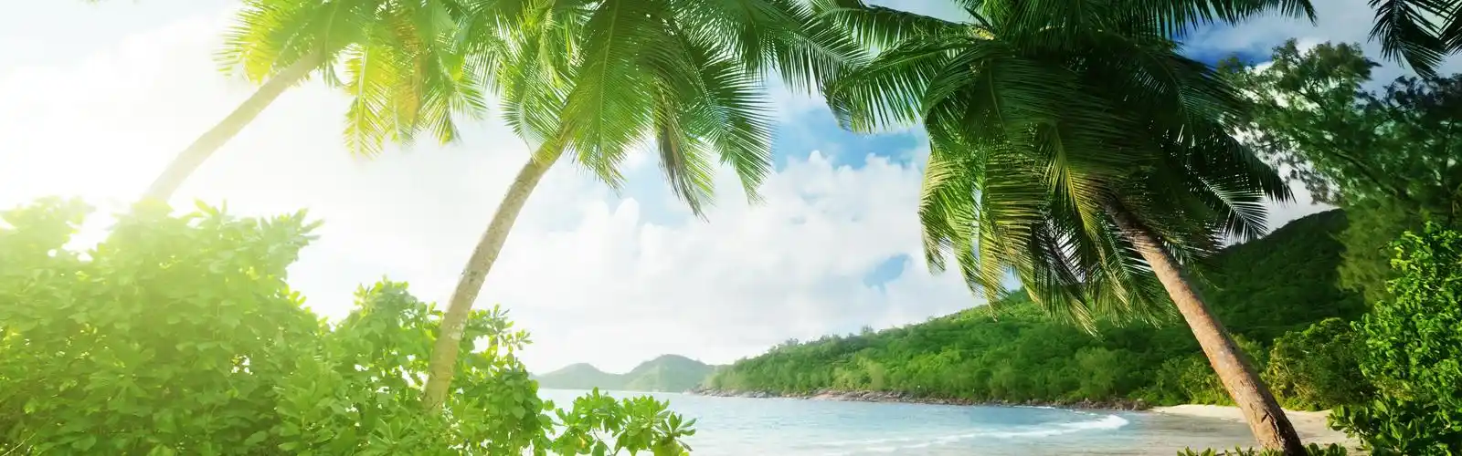 云 壁纸 热带海滩,棕榈树,沙滩,大海,海岸,云 桌布 - 3840x1200 双屏