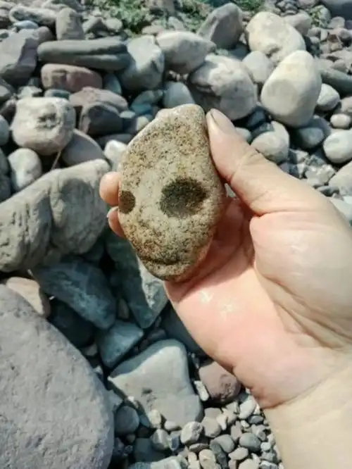 好奇怪的石头,有没有很像外国人