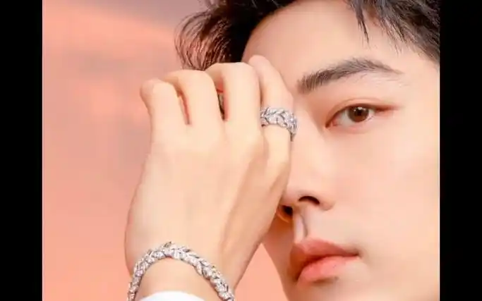 帅就完事了～#肖战西装造型图片 #高级感