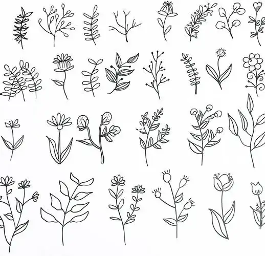 零基础入门插画教程一黑白简笔画