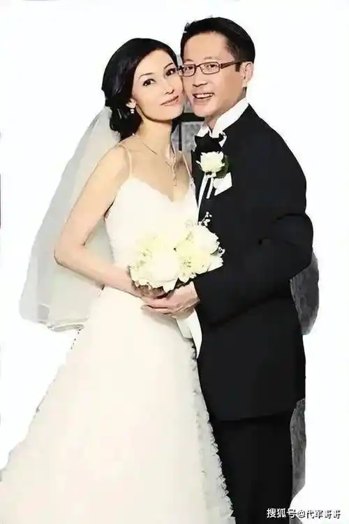 48岁的赵薇,一切都结束了_黄有龙_资本_富豪