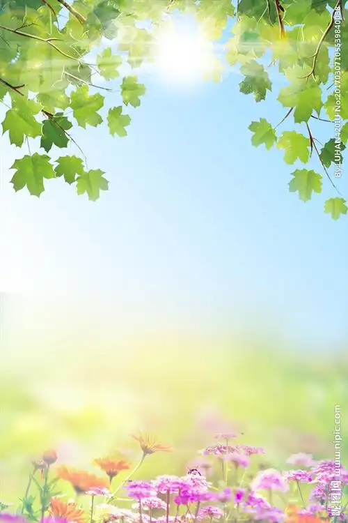 清新花草设计图__广告设计_广告设计_设计图库_昵图网nipic.com