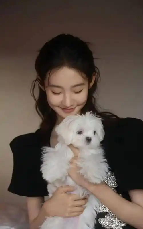 范世錡脚踩两条船陈赫林更新资深玩咖黄多多内娱皇族刘昊然陈思诚解绑