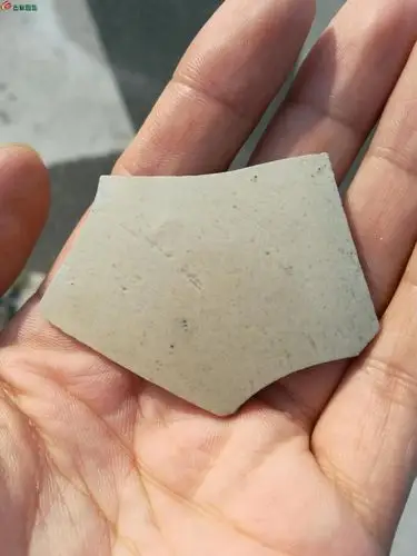 极品宋定窑瓷片