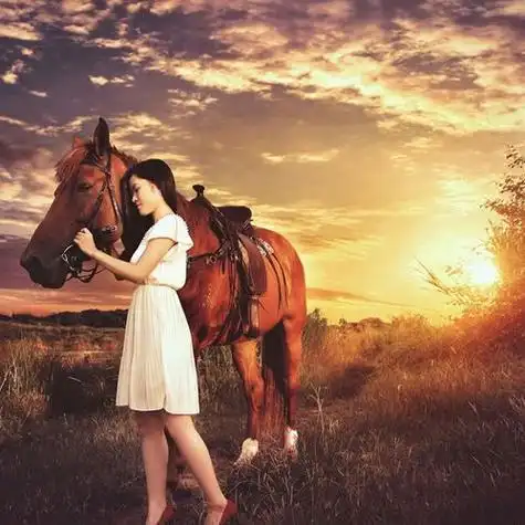 夕阳西下牵马天使头像