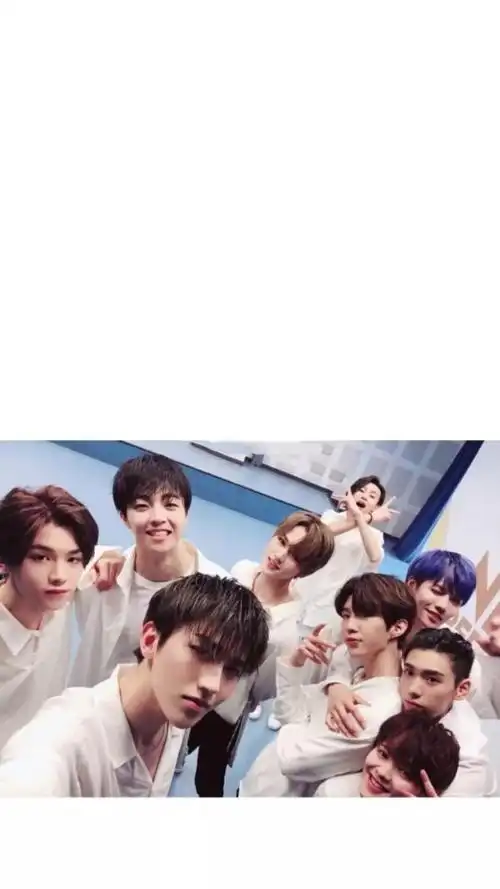 百分九 - 堆糖,美图壁纸兴趣社区