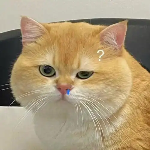 用沙雕表情包,让每一次聊天都值得期待!