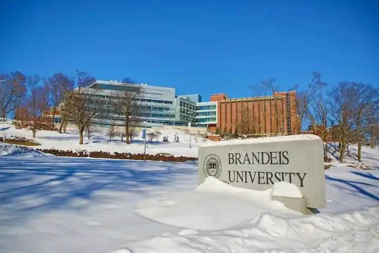 美国最年轻大学之一布兰迪斯大学对国际生友好它是top50中的绝佳保底