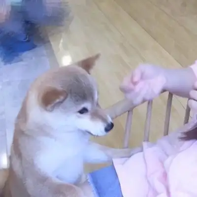 对象不是人情侣头像可爱萌图片