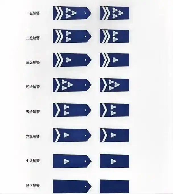辅警也有警衔,如果统一,哪款最合适?