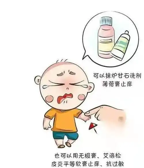 九成人不懂蚊子天敌是啥家里面放上1个它蚊子消散不见了