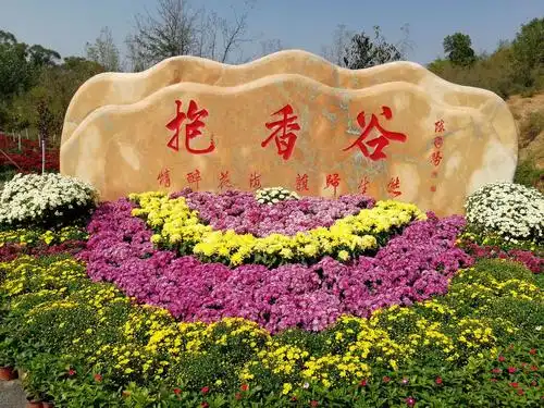 枉为爱花人   国庆假期,位于邢台县龙泉寺乡邢襄古镇北邻的抱香谷农业