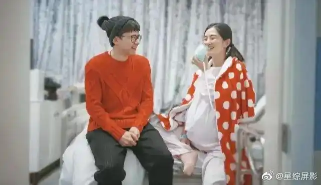 以让妈妈! 谢娜怀二胎 "沉郁顿挫"-第1张图片-红石博客