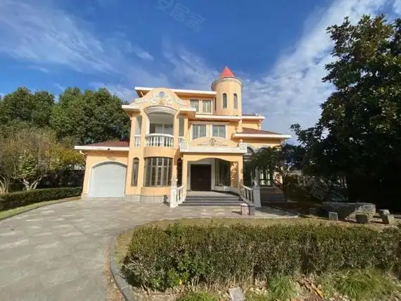 上海松江泗泾丽茵别墅泗泾地铁口800米精装8房别墅可办公居住摄影等