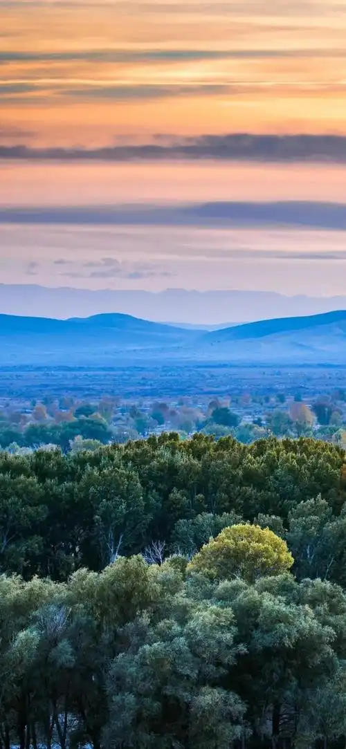 壁纸分享 - 平板华为 matepad pro 花粉俱乐部