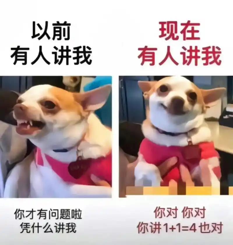 以前的我和现在的我