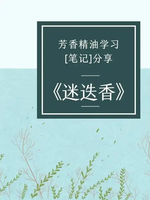 促进思考提升记忆  #海之朝露95中文字面意思「迷人的香气不停袭来