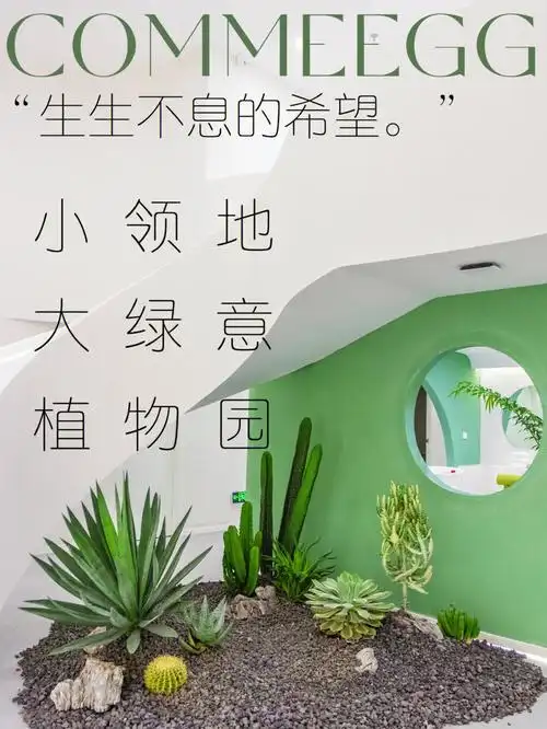 岩块置于黑色土砾之中也有一种不经意间的曼妙虽不似枯山水那般禅意却