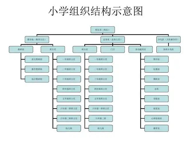 小学组织结构