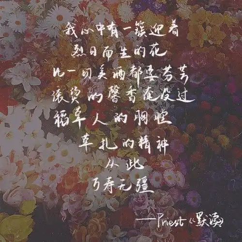 202203gbj入坑剧手写记录默读priest语录