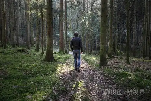 照片 一个人独自走在苔藓般的森林小径上.jpg