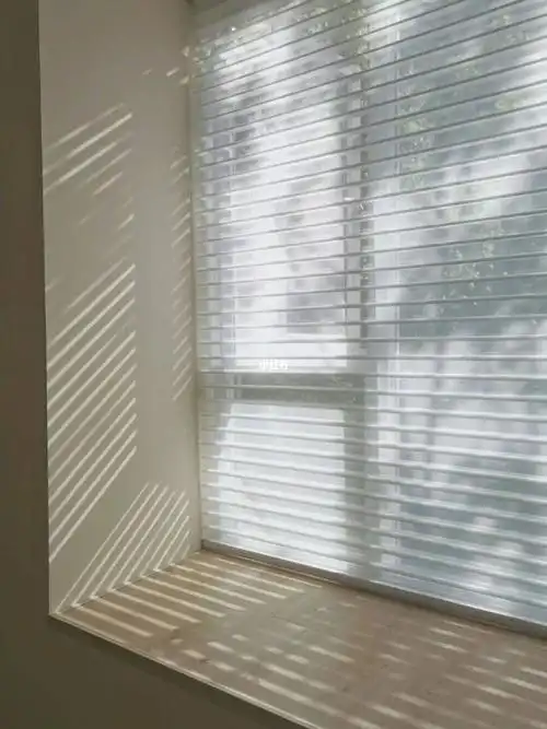 捕光捉影|窗帘|百叶窗|光影|自然光|绿植_网易订阅