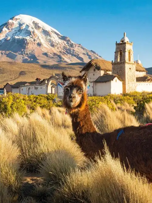 谁不想去天空之境?玻利维亚旅游🉑落地签