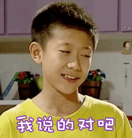 出品家有儿女刘星张一山我说的对吧gif动图_动态图_表情包下载_soogif