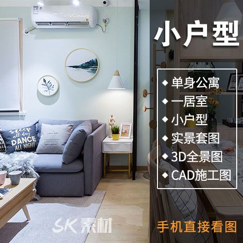 一居室装修效果图小户型图纸一室一厅40平方50平米60房子室内设计