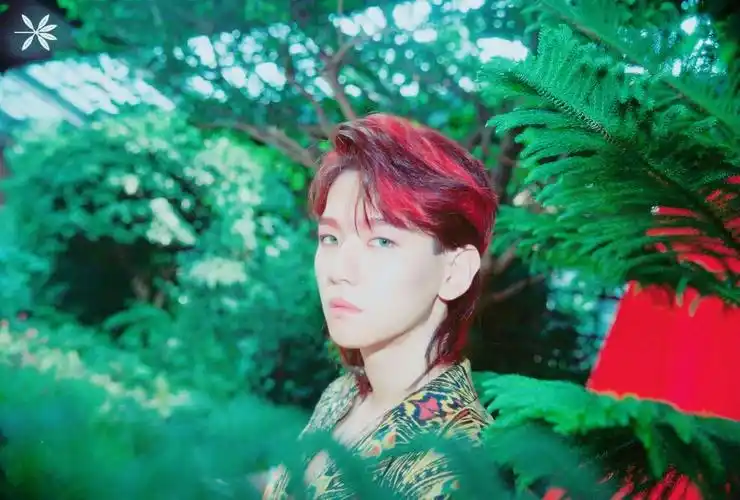 exo夏日回归 kokobop the war exo baekhyu