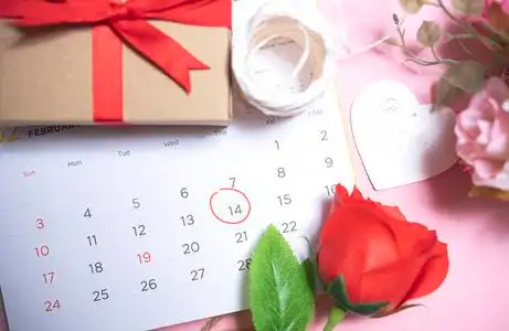 情人节. 二月日历上的红玫瑰花. 上面的风景.照片