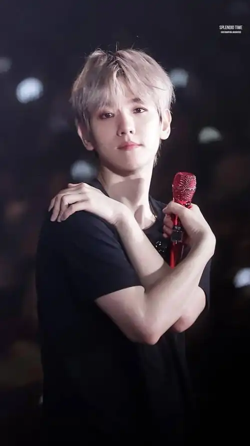 边伯贤/反正不管怎么说哥哥在我眼里就是永远不会老去的南韩神仙!