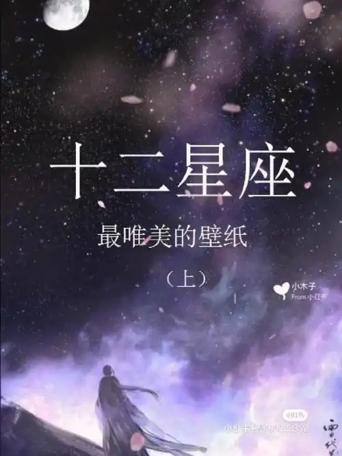 十二星座最美的壁纸