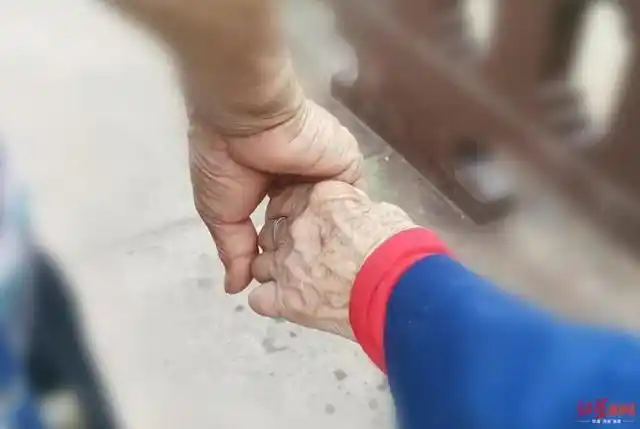 8旬老夫妻每天背小板凳牵手散步,网友:爱情最好的模样
