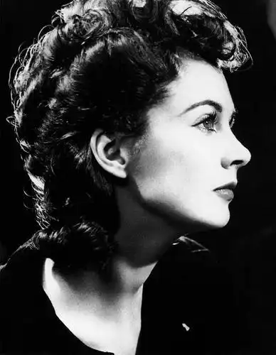 好莱坞黄金时代最喜欢的女星一费雯丽